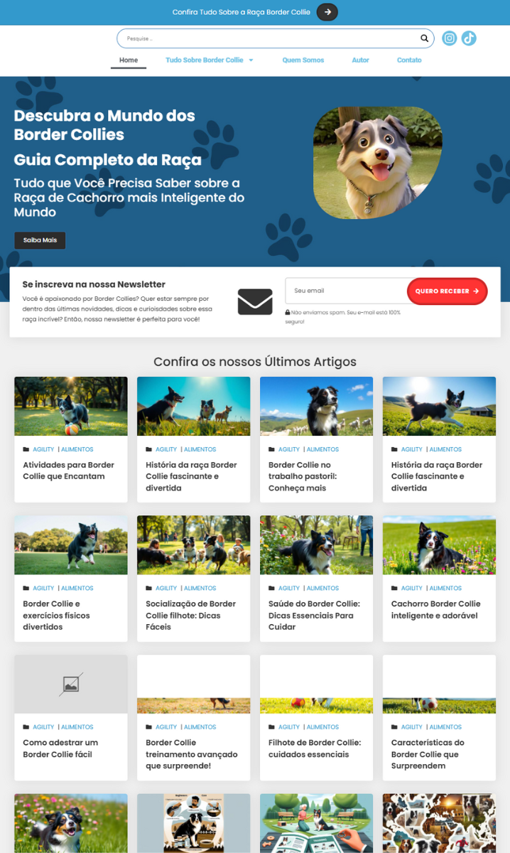 Cachorro Border Collie - BLOG